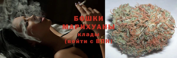 соль ск Белокуриха