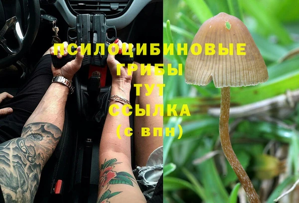 гашиш Корсаков
