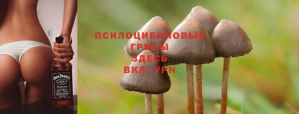 соль ск Белокуриха