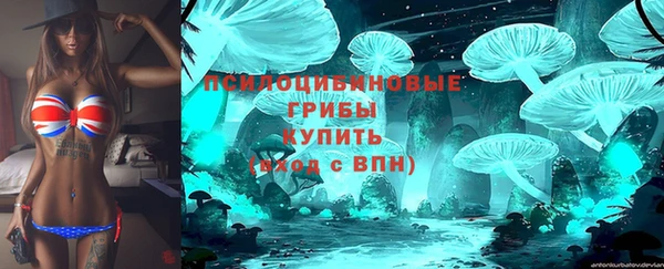 гидра Беломорск