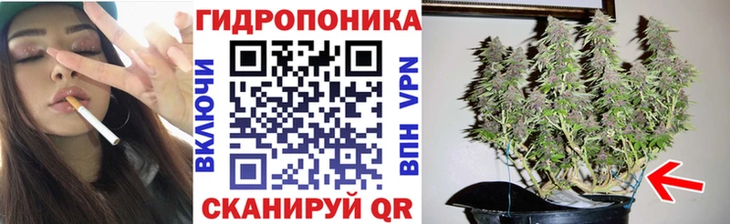 Бошки Шишки MAZAR  Мариинский Посад 